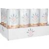Stëlz Mixed Classics Moscow Mule tray 12 x 25 cl